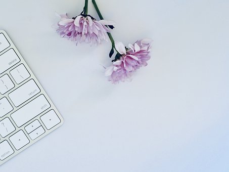 新手網(wǎng)站設(shè)計(jì)師的應(yīng)避免的4個(gè)錯(cuò)誤-瑩晨建站-m.luyingji.cn
